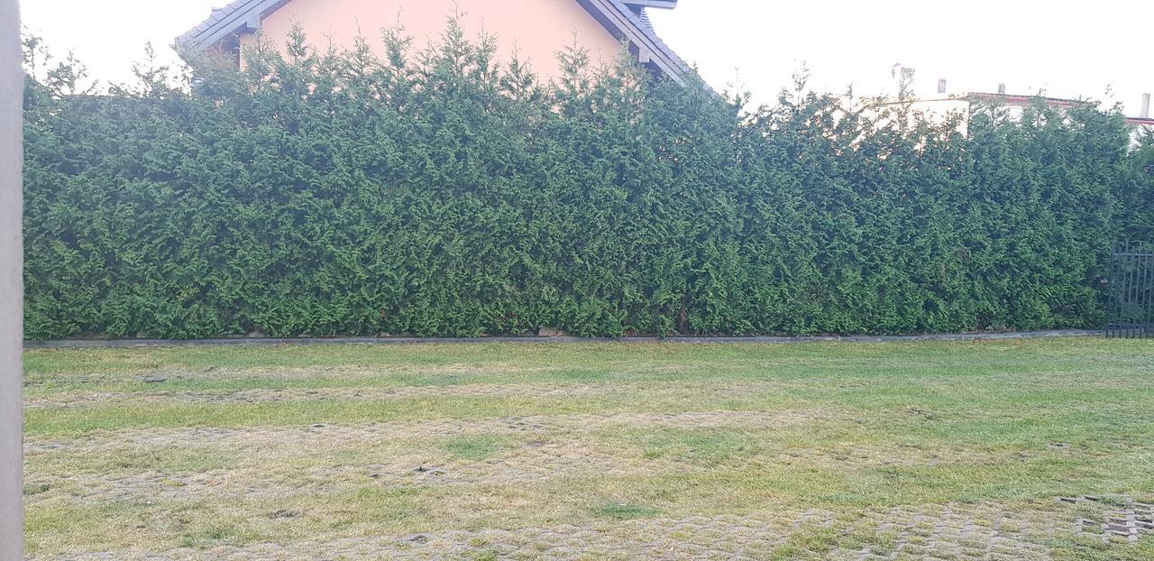 Pokoje Goscinne Pryzmat Władysławowo エクステリア 写真